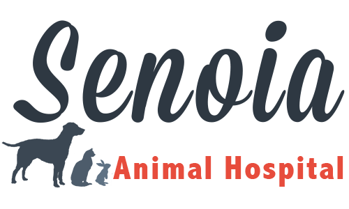 Senoia Animal Hospital