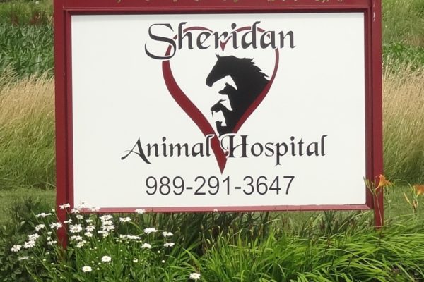 Sign