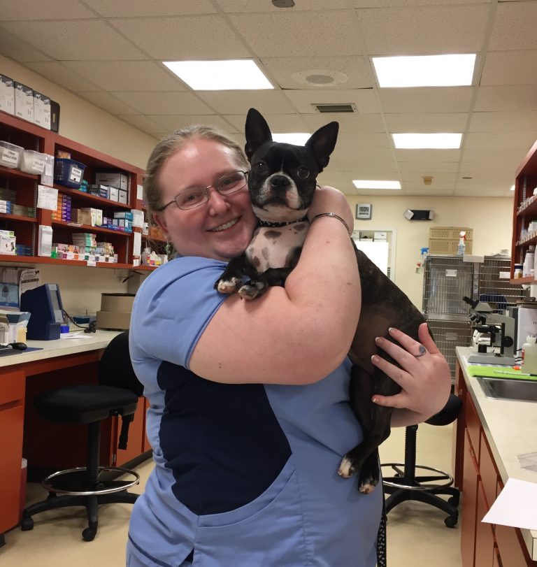 Veterinarians & Team In Orange Park