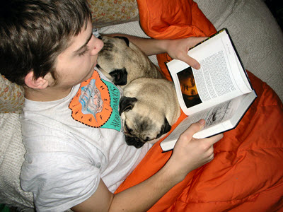 Photo of boy reading with 2 pugs