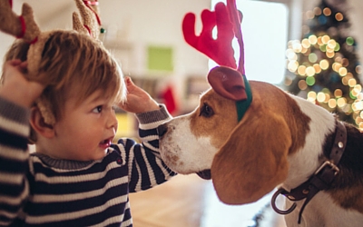 Child and beagle wearing antlers