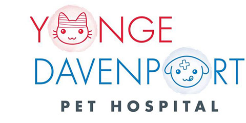 Logo for Yonge-Davenport Pet Hospital, Toronto, Ontario