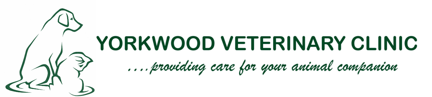 Yorkwood Veterinary Clinic